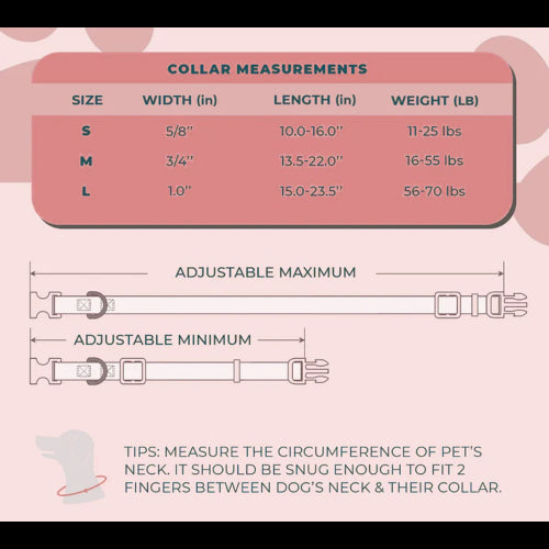 Dog Spring Floral Collar - Lge 38-60cm