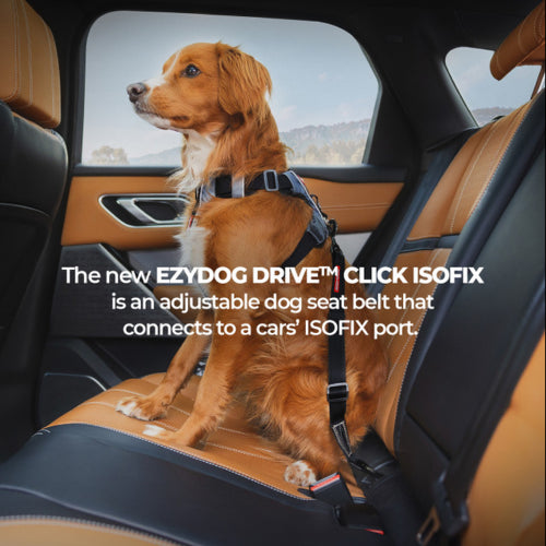 Dog Harness Car  Ezydog Click ISOFIX Standard