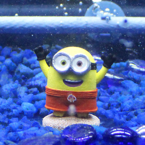 Aquatic Ornament Bob Beach Buddy - Mini