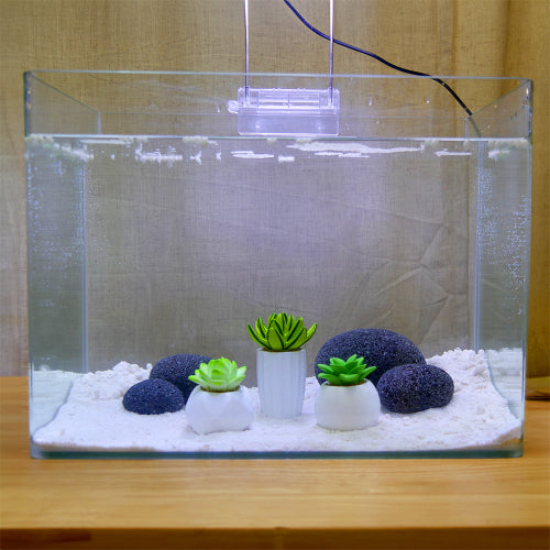 Aquatic Ornament Succulent Resin Kit