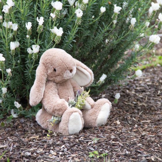 Margot Hare - Medium - Wonderlings