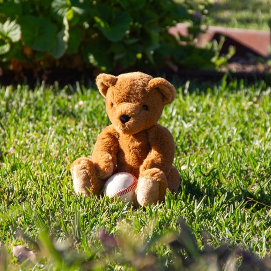 Theodore Teddy - Medium - Wonderlings
