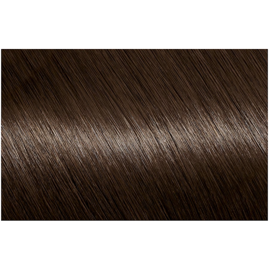 Garnier Nutrisse Hair Colour Tamarind 4.0 1pack