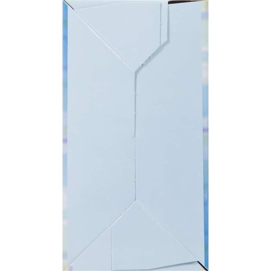 Woolworths plain waffle ice cream cones, 170g pack, perfect for filling with your favorite flavors, sweet and crunchy.