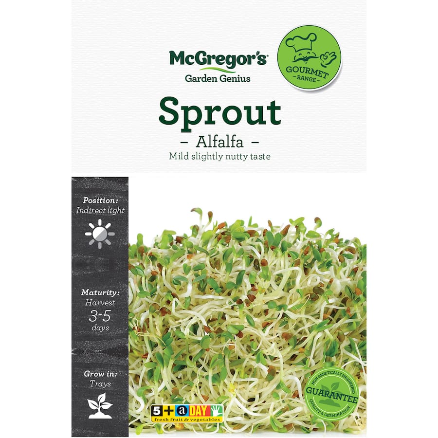 McGregor's Alfalfa seeds for easy home sprouting, rich in nutrients, perfect for salads and smoothies. Non-GMO and sustainable.