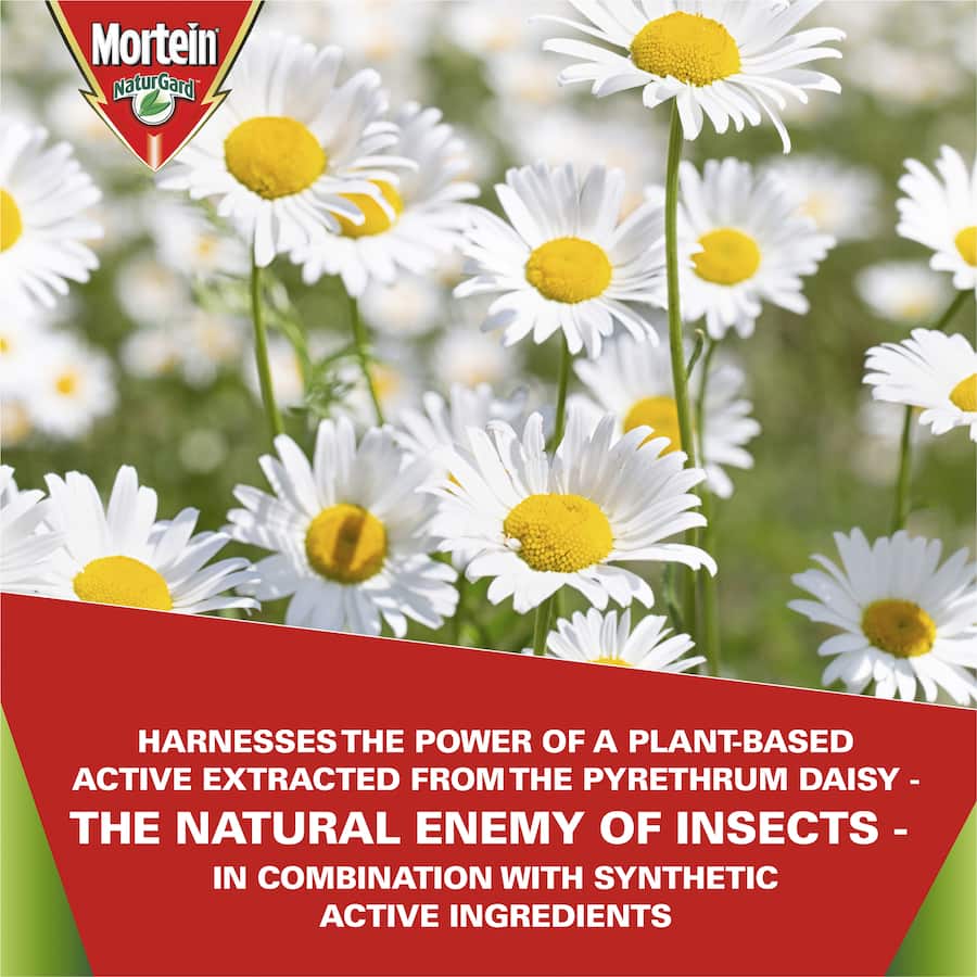 Mortein Naturgard Multi Insect Killer Spray for eco-friendly pest control against ants, cockroaches, and spiders.