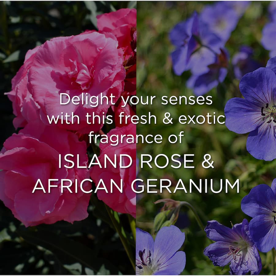 Air Wick Botanica Room Spray featuring Island Rose and African Geranium, blending luxury fragrances with natural essential oils.