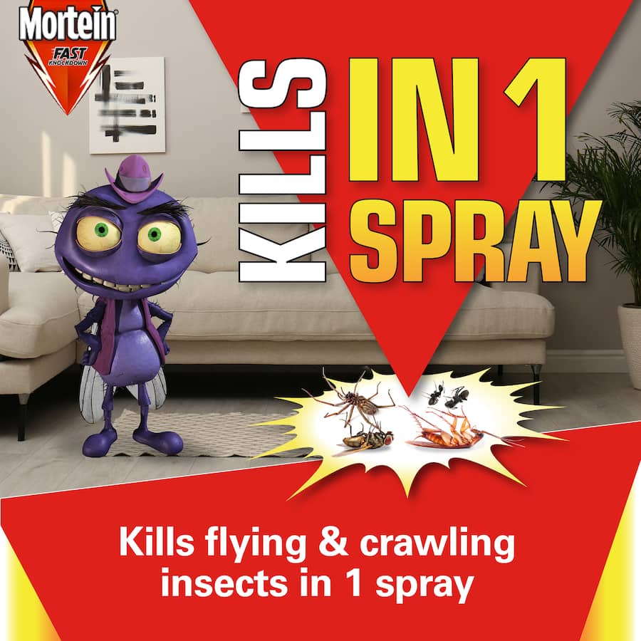 Mortein Fly Spray aerosol can for fast pest control, effective against flies, cockroaches, and mosquitoes with quick knockdown.