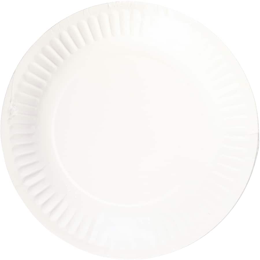 Eco-friendly 18.3cm white side paper plates, perfect for events, picnics, and hassle-free clean-ups (20 pack).