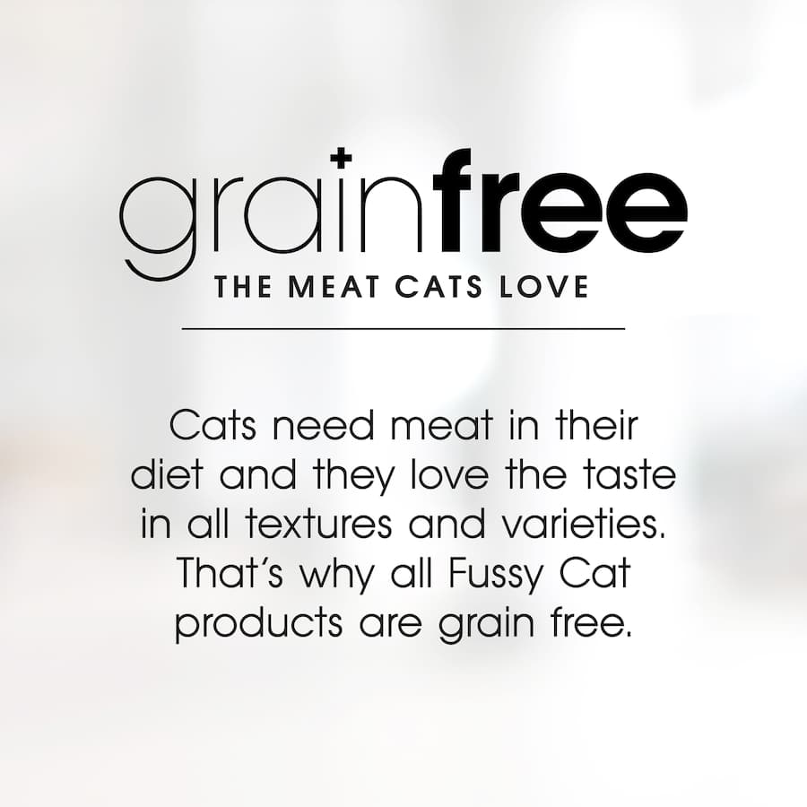 Fussy Cat Grain Free Dry Cat Food features chicken and ocean fish for indoor cats, promoting health, energy, and hairball reduction.
