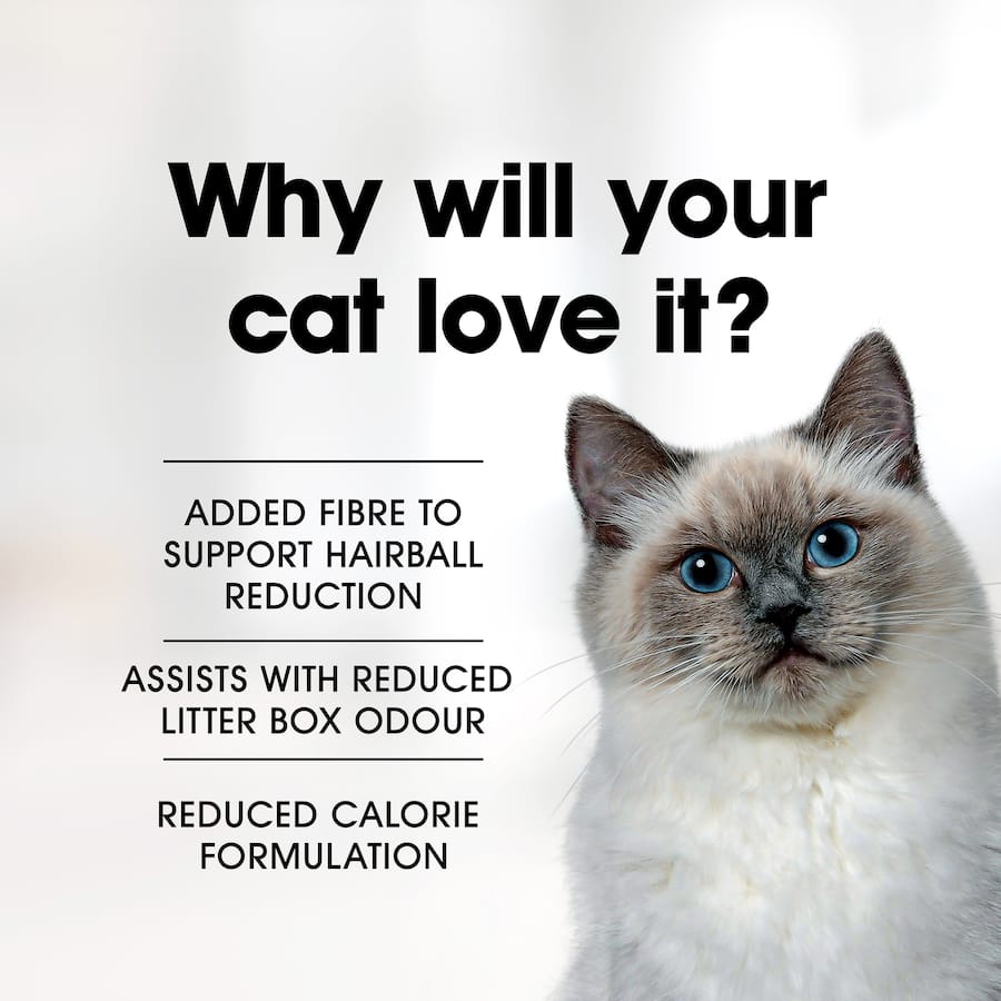 Fussy Cat Grain Free Dry Food with chicken and ocean fish, designed for indoor cats to support digestion and weight management.