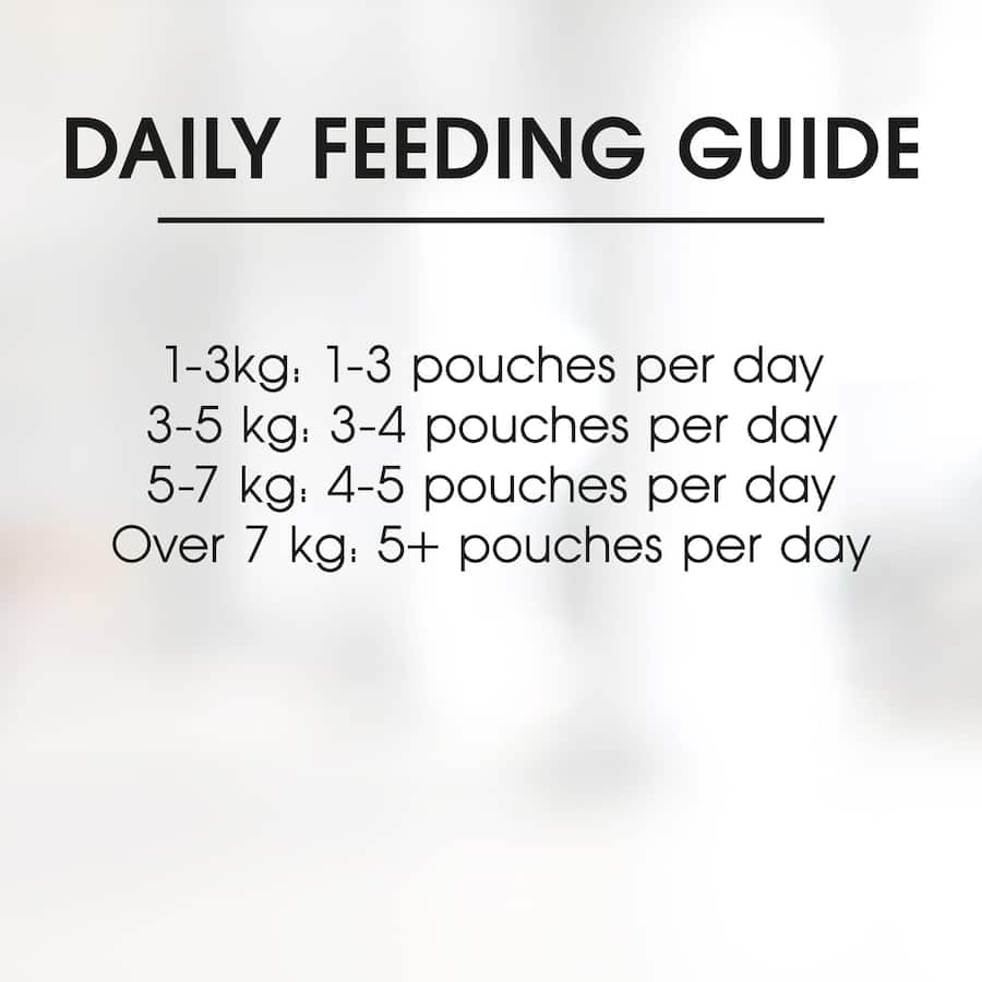 Fussy Cat Grain Free Wet Cat Food Mince & Morsels Tray 12x80g