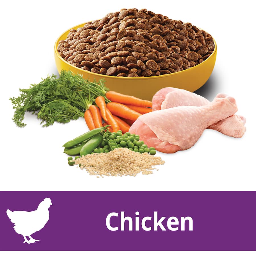 Pedigree Puppy Dry Dog Food Chicken & Rice 2.5kg bag, tailored for optimal growth, featuring chicken, rice, and essential vitamins.