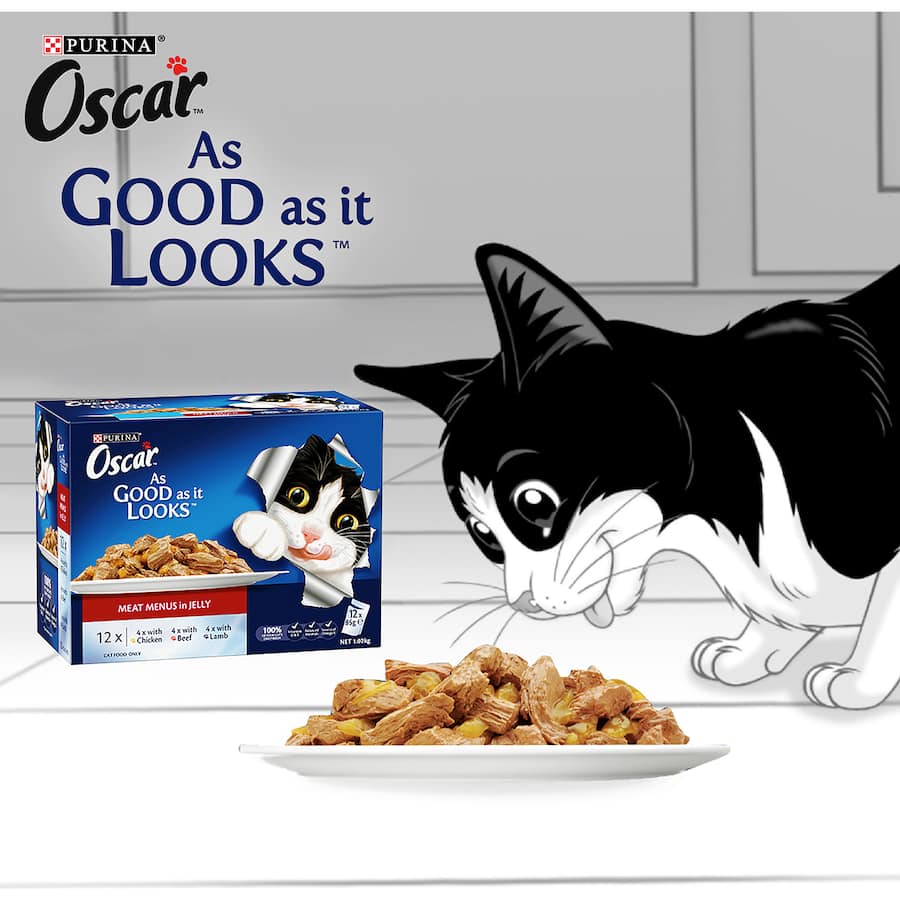 Delectable Purina Oscar Wet Cat Food featuring tender meat in succulent jelly, promoting healthy skin and a shiny coat.