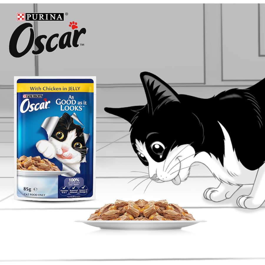 Tender chicken pieces in savory jelly, Purina Oscar Wet Cat Food delivers rich nutrition and irresistible flavor for adult cats.