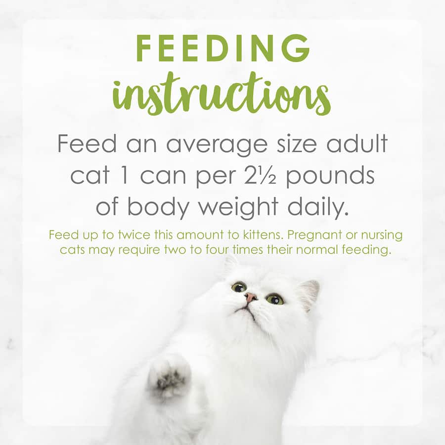 Gourmet wet cat food featuring grilled salmon in savory gravy, perfect for adult cats’ nutrition and taste.