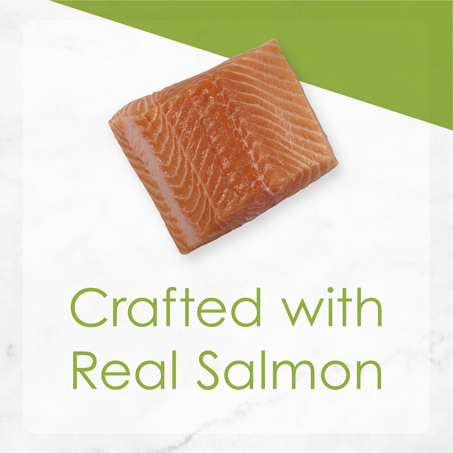 Gourmet wet cat food featuring grilled salmon in savory gravy, providing a nutritious and delicious meal for adult cats.