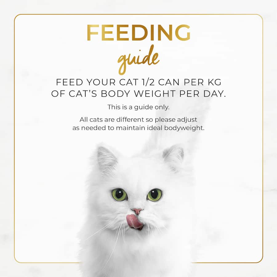 Gourmet wet cat food featuring smooth chicken pate for a protein-rich, balanced meal without artificial additives.