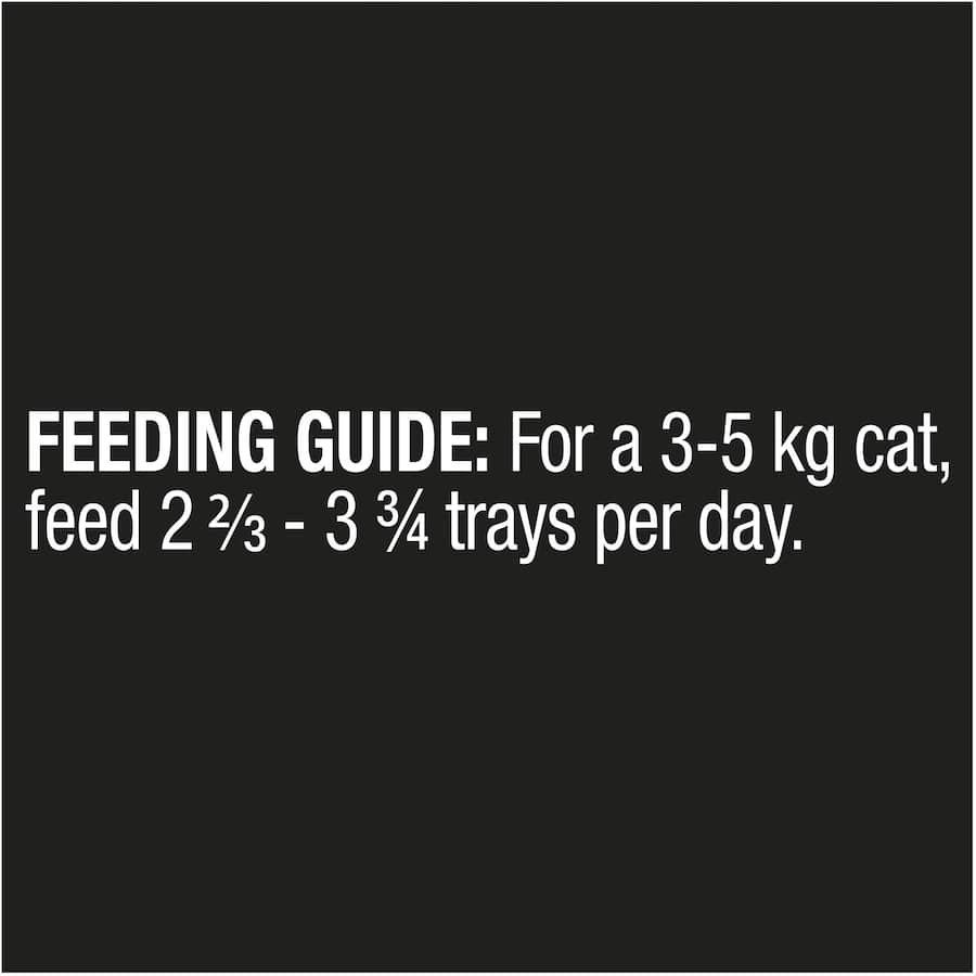 Luxurious wet cat food with tender turkey slices in savory gravy, perfect for satisfying your cat's gourmet cravings.
