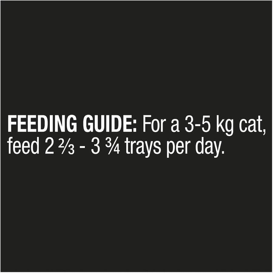 Gourmet wet cat food featuring tender lamb cuts in rich gravy, perfect for satisfying adult cats' refined tastes.