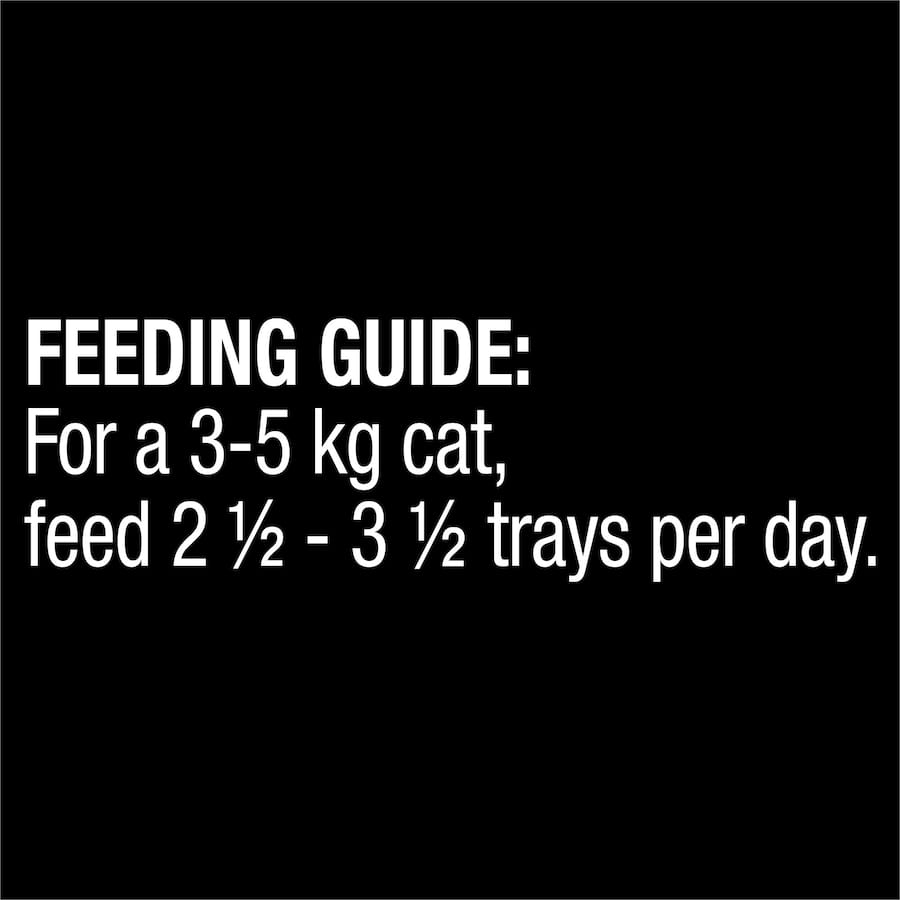 Wet cat food featuring tender salmon morsels in a rich sauce, enriched with vitamins for a complete, balanced diet.