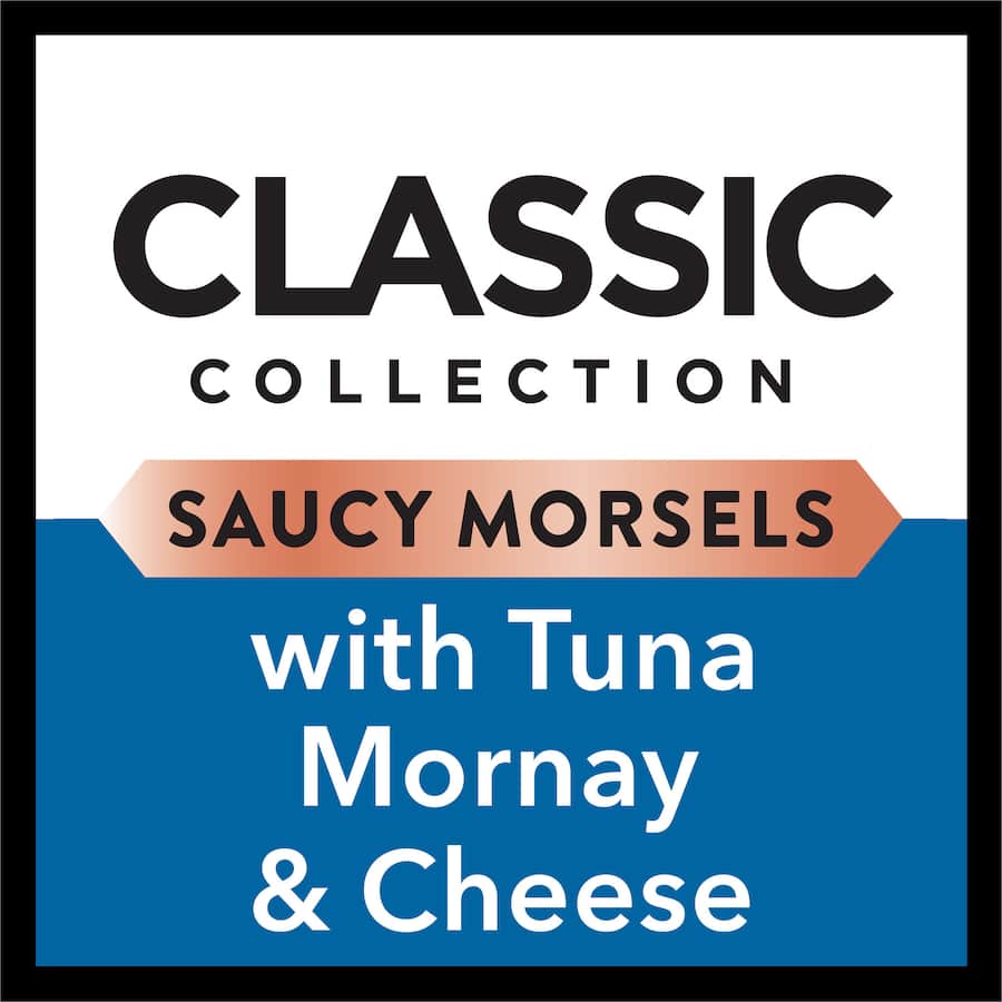 Gourmet wet cat food featuring tender tuna in creamy mornay sauce with cheese, perfect for discerning adult and senior cats.