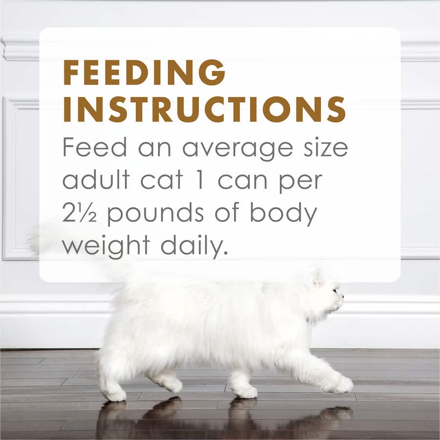 Gourmet wet cat food featuring slow-cooked chicken in thick gravy, perfect for pampering your feline friend.