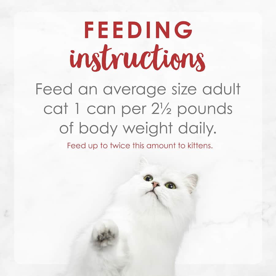 A can of Fancy Feast Wet Cat Food Gravy Lovers Beef Feast, featuring tender beef in savory gravy for delightful, nutritious meals.