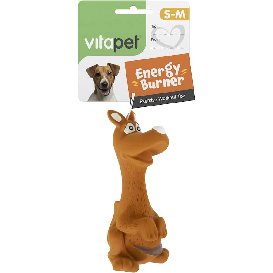 Vitapet Energy Burner Pet Toy Dog Squeaky SingLe