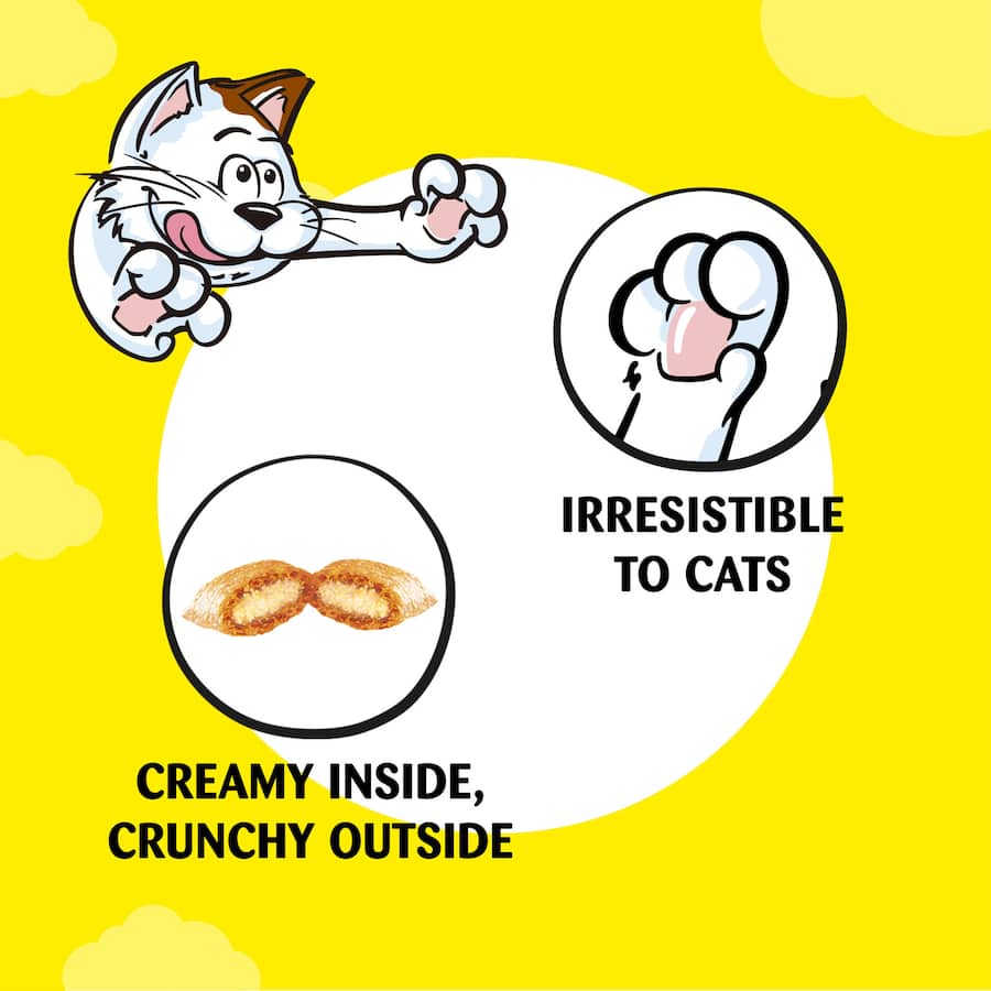 Temptations Mega Cat Treats in Tasty Chicken flavor, featuring crunchy shell and soft center, in a 350g resealable pouch.
