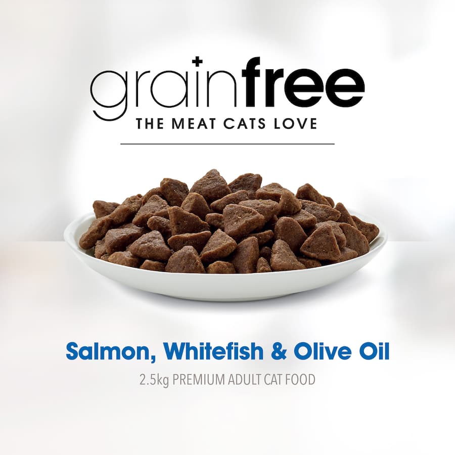 Grain-free dry cat food with salmon and fish oil, high in protein for sensitive stomachs and healthy skin.
