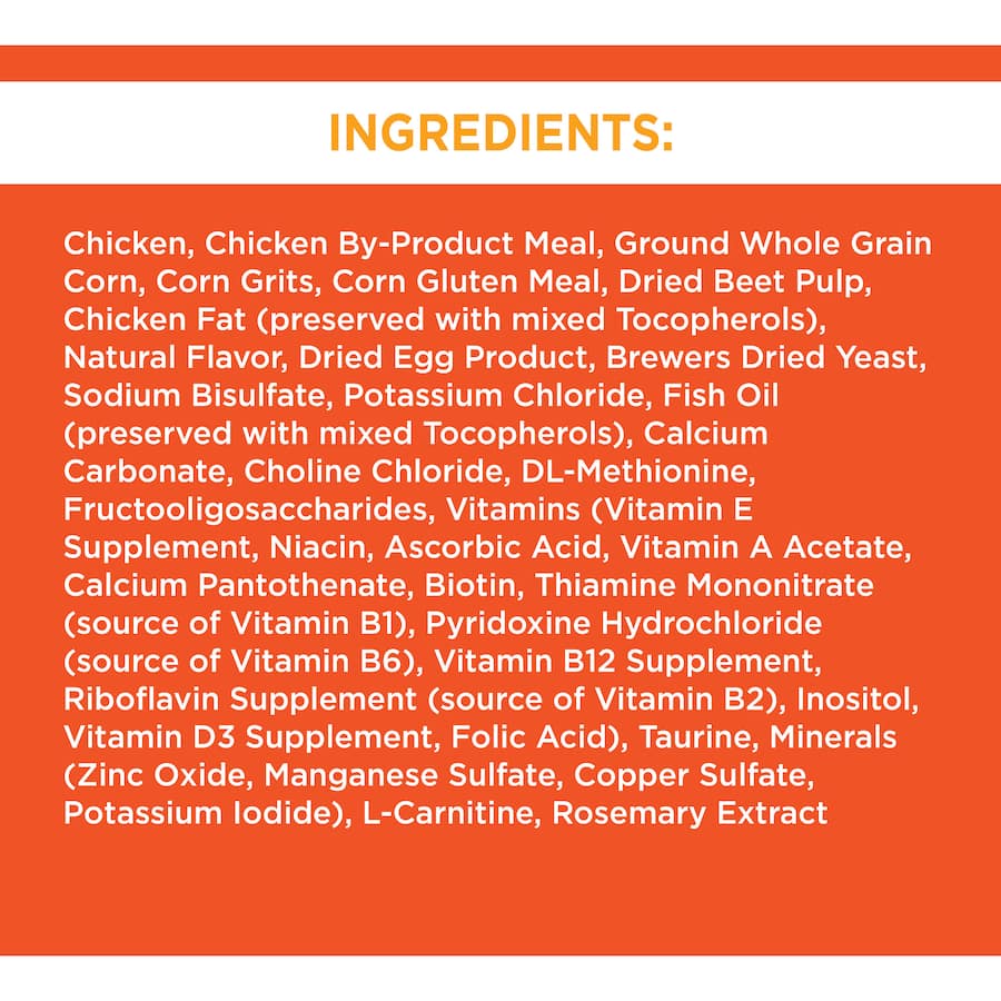 Iams Dry Cat Food Chicken features chicken as the main ingredient for balanced nutrition and healthy digestion in cats.