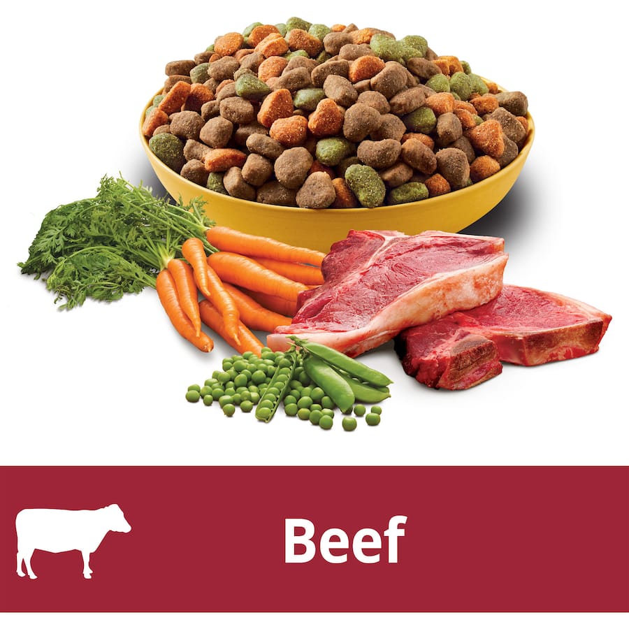 Pedigree Dry Dog Food With Real Beef Bag 8kg