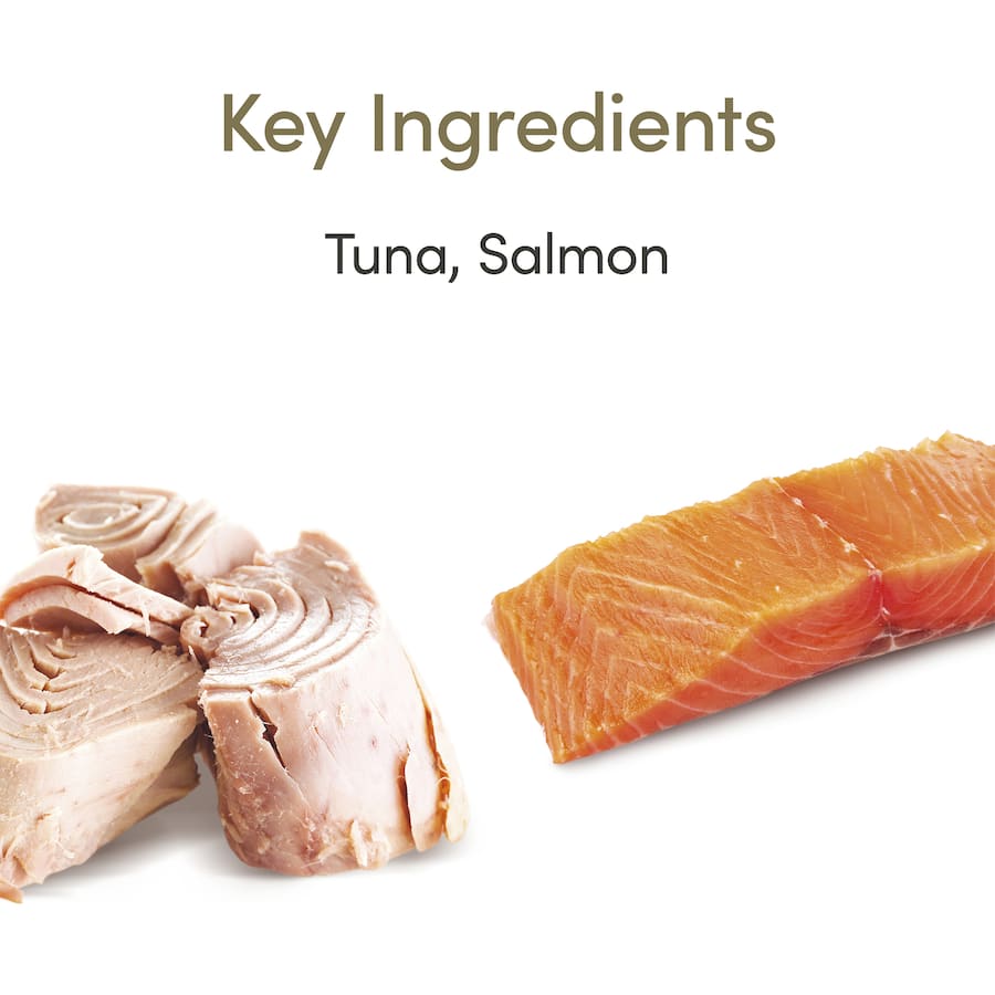 Applaws Wet Cat Food Tuna With Salmon In Jelly Pouch 70g