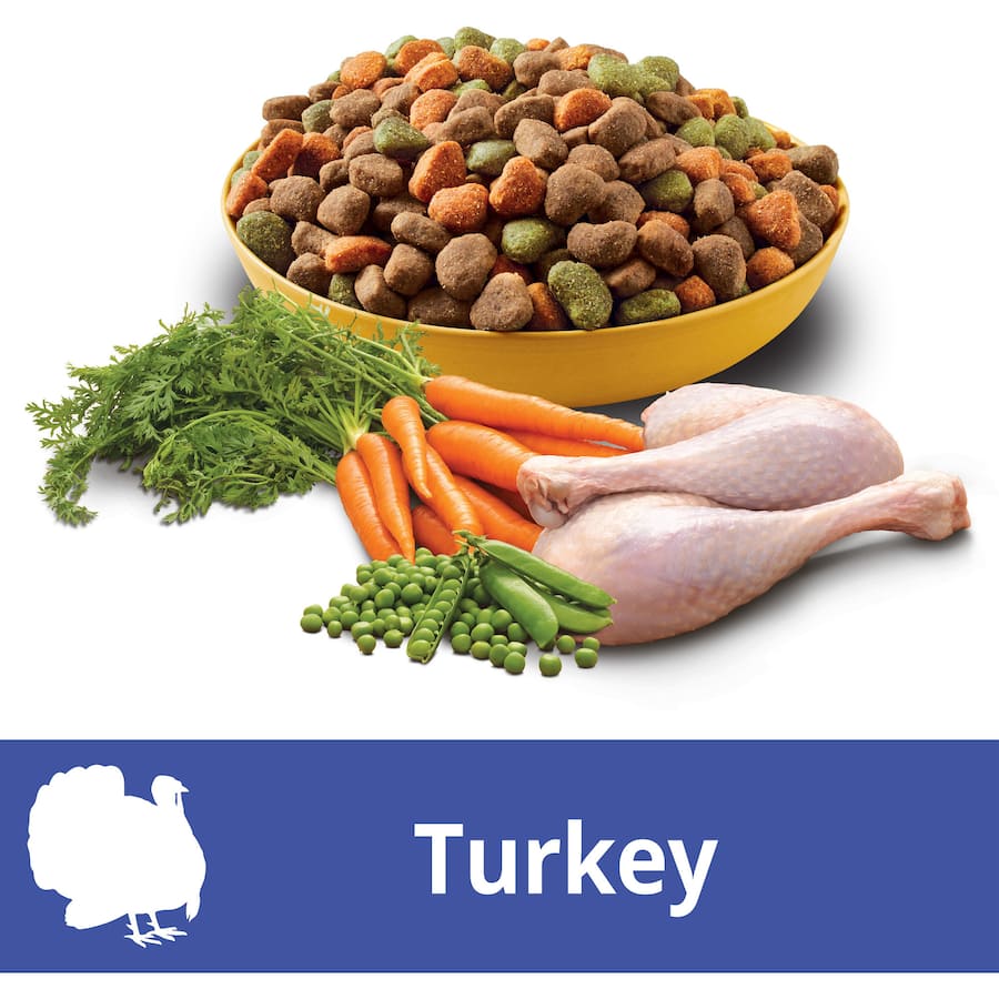 Pedigree 7+ Dry Dog Food with Real Turkey, nutrient-rich kibble for senior dogs, supporting health, vitality, and digestive wellness.