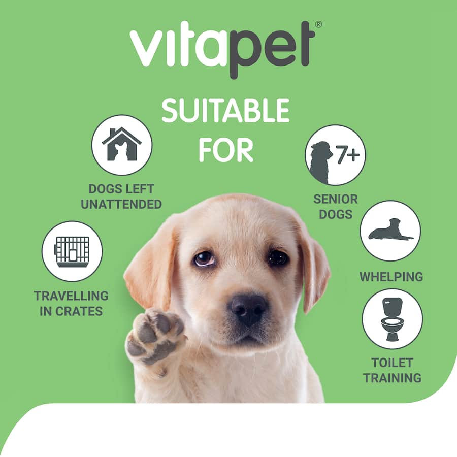 Vitapet Puppy Training Pee Pads with odor control, super absorbent, and sticky tabs for secure indoor toilet training.