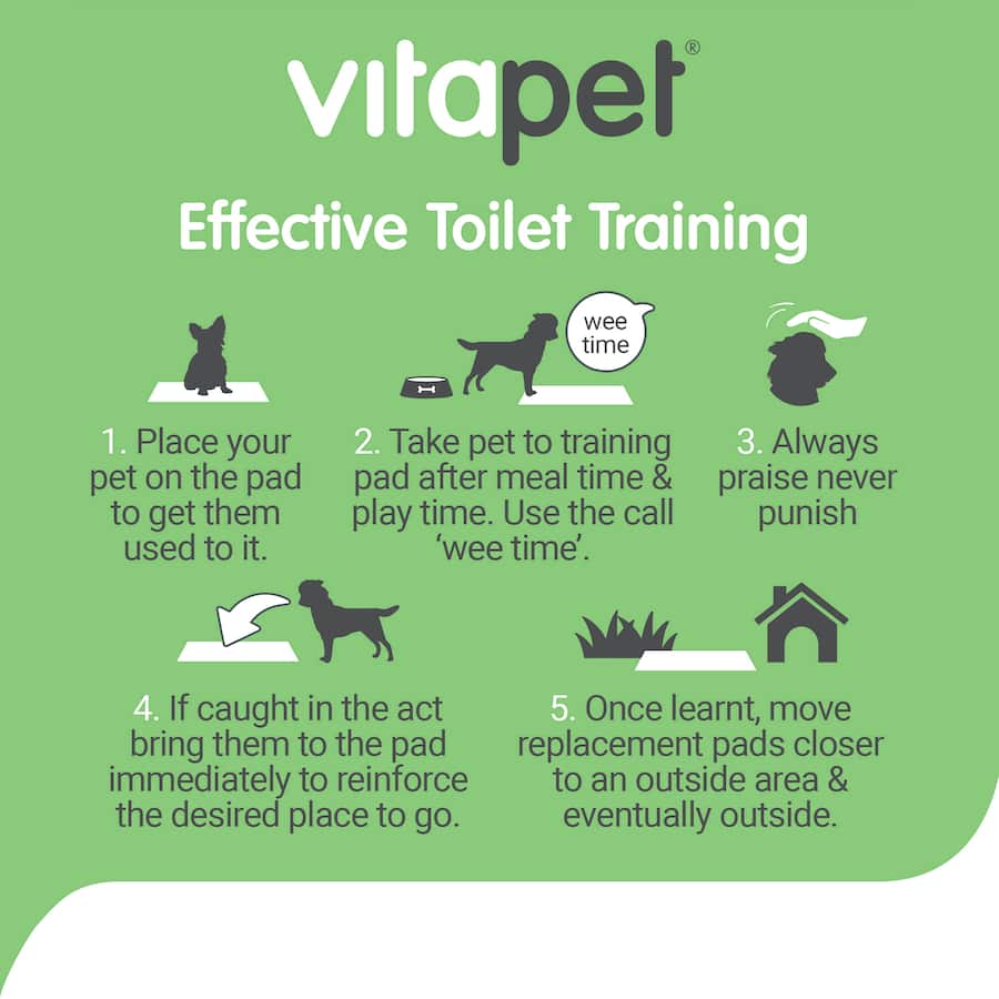 Odour control puppy training pads with sticky tabs, super absorbent, ideal for indoor toilet training and gradual outdoor transition.