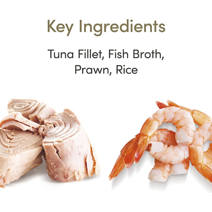 Applaws Wet Cat Food Tuna Fillet With Prawn Tin 70g