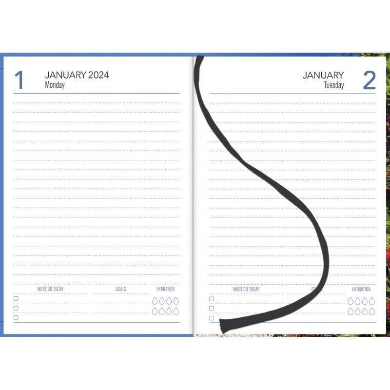 Collins Diary A51 Coastal Scenes Even Year