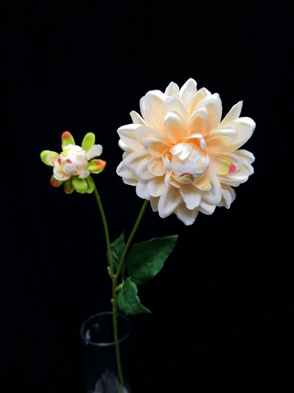 Artificial Single Dahlia with Bud - Small (Champagne)