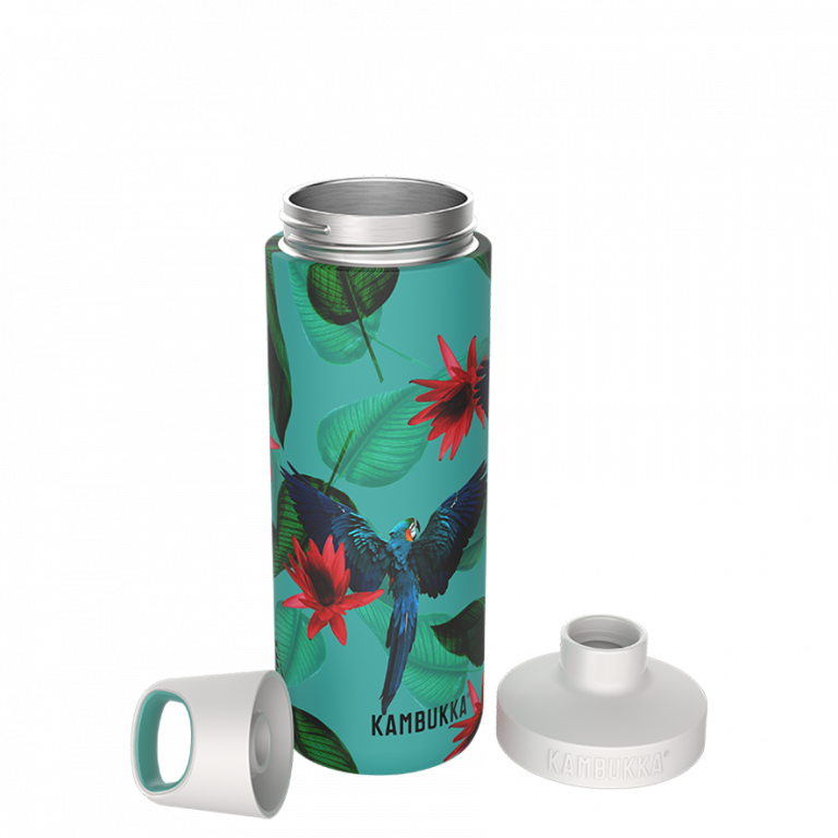 Insulated Bottle - Reno S/S Parrots (500ml)