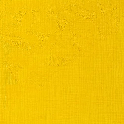 Vibrant 37ml tube of Winsor & Newton Cadmium Yellow Light oil paint, perfect for safe and easy mixing with water.