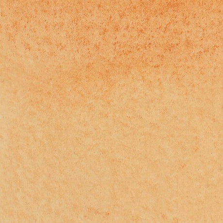 Winsor & Newton Burnt Sienna Water Colour Marker with twin tips for versatile strokes and seamless blending capabilities.