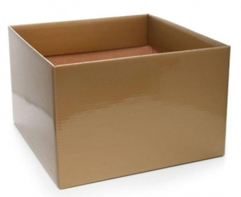 Elegant pack of 10 large gold posy boxes for showcasing floral arrangements, measuring 22x14cmH. Perfect for events and retail display.