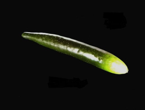 Lifelike artificial cucumber, perfect for home decor, events, or displays, enhancing any space without maintenance.