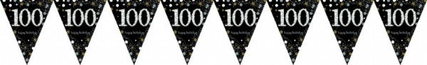 Vibrant 100 prismatic pennant banner in durable plastic, perfect for festive indoor and outdoor celebrations.