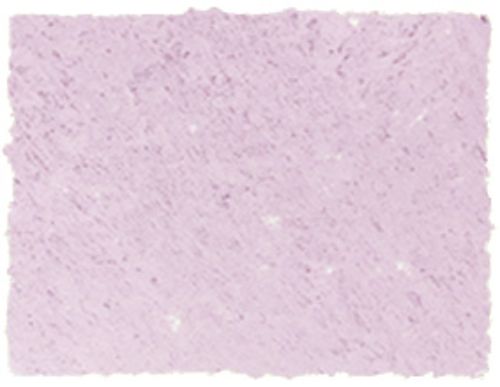 AS Square Pastel Flinders Red Violet A in vibrant red violet, ideal for bold strokes and fine details in artwork.