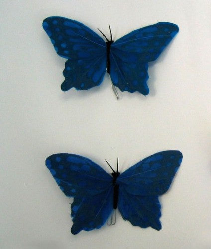 Vibrant blue artificial butterflies (x12) with feather bodies, perfect for home decor, crafts, and special occasions.
