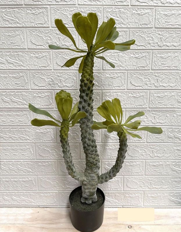 Lifelike 80cm artificial Euphorbia Tree, ideal for home decor with no maintenance, perfect for low-light environments.