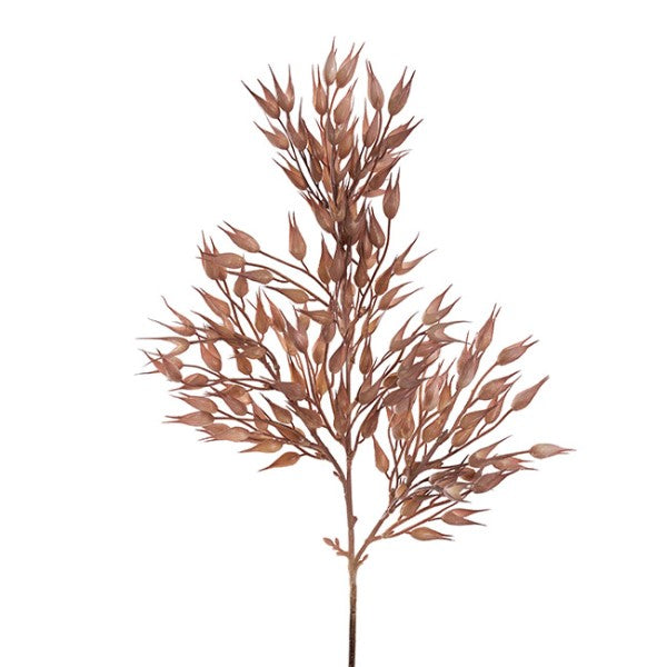 Realistic 65cm Coix Seed Grass Spray in Almond, perfect for enhancing decor with lush, low-maintenance greenery.